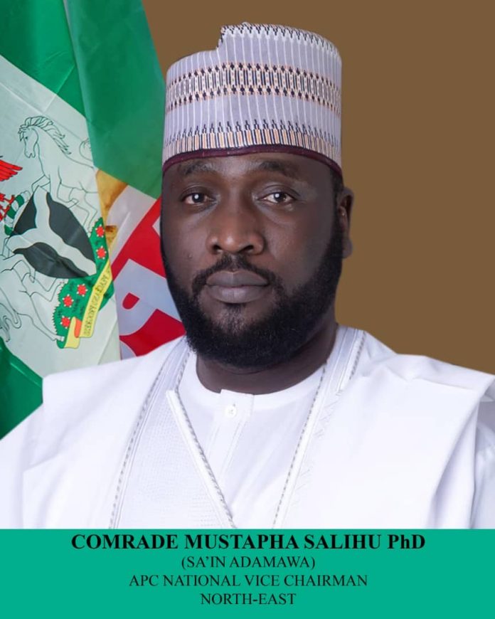 ccebc55d-76ed-4b13-ace6-55a25ca971e9