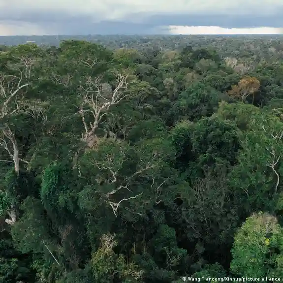 Deforestation has hit Manaus, the capital of the state of Amazonas, hard [File: March 13, 2024]