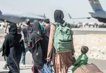 Unbiased information for free minds: What DW stands for worldwide