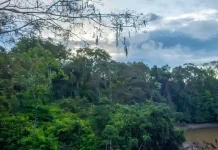 Ecuador starts fracking in Amazon rainforest