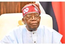 No amount of pressure will make me quit” – Tinubu replies critics