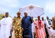 Terrorists attack Adamawa community, kill ’29 villagers’