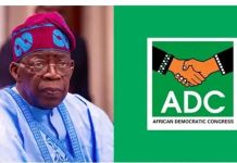 : Opposition’s joint presidential ticket causes stir