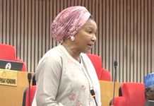 Ireti Kingibe: Every aspect of electoral amendment bill was turned upside down