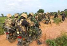Operation HADIN KAI Troops Sustain Offensive, Neutralise Terrorists in Borno Forests