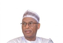 Tijjani Galadima and the Next Adamawa Project