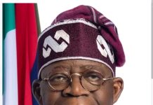 PRESIDENT TINUBU APPOINTS LANRE BABALOLA AS SPECIAL ADVISER ON POWER