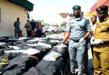 Customs Intercepts ₦18.9bn Cannabis Hidden in Vehicles at Tin Can Port