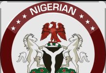 SENATE DEMANDS JUSTICE FOR NIGERIANS KILLED IN SOUTH AFRICA