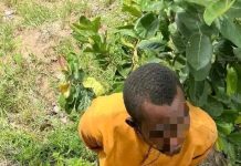 BREAKING: Army Arrests T£rror!st Courier With 500 Rounds of Ammunition Hidden Inside Bag of Maize in Kogi