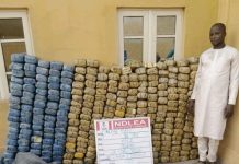 NDLEA intercepts cocaine, opioids concealed in UK, Australia-bound cartons of clothes