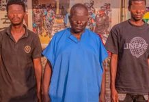 Police arrest two suspects linked to kidnappings, robberies in Kaduna