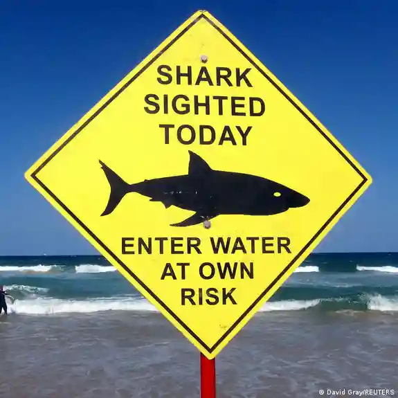 60800687_803