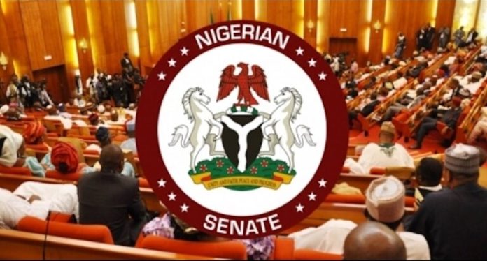 Senate-1-768x413