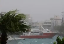 Typhoon Bavi batters Taiwan, Japan
