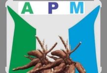 APM Mobilises Opposition Parties for Coalition, Hails PDP Support