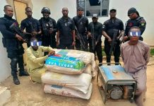 KADVS Arrests Mosque Generator Theft Suspect, Recovers 100kg Of Suspected Cannabis In Kaduna