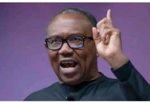 Peter Obi Gives Condition To Withdraw From 2027 Presidential Race