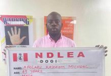 NDLEA Arrests KC Luxury Over Alleged Role in International Cocaine Network
