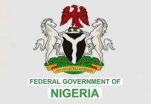 NIGERIAN GOVERNMENT CONSOLES ALGERIA OVER DEADLY WILDFIRE