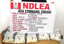 NDLEA arrests Italy-based businessman with ‘98 wraps of cocaine’ in Enugu