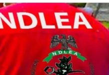 NDLEA clarifies report of ‘drüg bunker’ at Taraba Nursing College