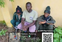 Troops Rescue 14 Kidnapped Victims, Arrest 3 Suspected Ransom Couriers in Katsina