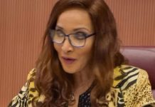 FG cautions foreign missions against ‘unsolicited lectures on democracy’ ahead of 2027