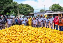 Ogun Customs Seizes Cannabis, Rice, Range Rover and Other Contraband Worth ₦2.47bn