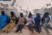 TROOPS ARREST 6 KIDNAPPERS, 3 DRUG PEDDLERS IN BORNO AND ADAMAWA AS TERRORIST SURRENDERS