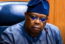 “Nigerians Tell Me to Slow Down, Their Freezers Are Freezing” — Power Minister