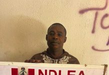 NDLEA Arrests Italy-Bound Businessman With 4.8kg Cocaine Hidden in Shoes, Bags