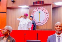 Ebola Outbreak: Senate Urges Tinubu Government to Release Emergency Funds, Enforce Screening at All Borders