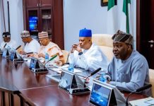 Shettima Sets Up Committee to Boost Wheat Production, Livestock Development Across Nigeria