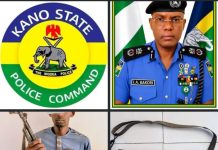 KANO POLICE ARREST SUSPECT, RECOVERS AK-47 IN FALGORE FOREST