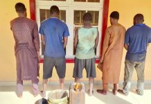 Kano: NSCDC busts illegal diesel refining site, arrests 5 suspects