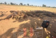 OPHK TROOPS NEUTRALISE 48 ISWAP TERRORISTS, RECOVER LARGE CACHE OF ARMS IN BITTA, BUNI YADI