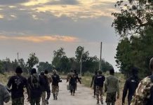Troops neutralise 71 terrorists in Borno, Yobe operations