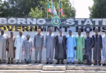 NNPCL TO RESUME OIL EXPLORATION IN BORNO STATE